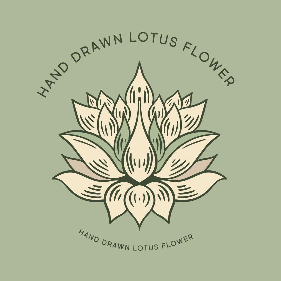 Lotus hand drawn illustrations, vector