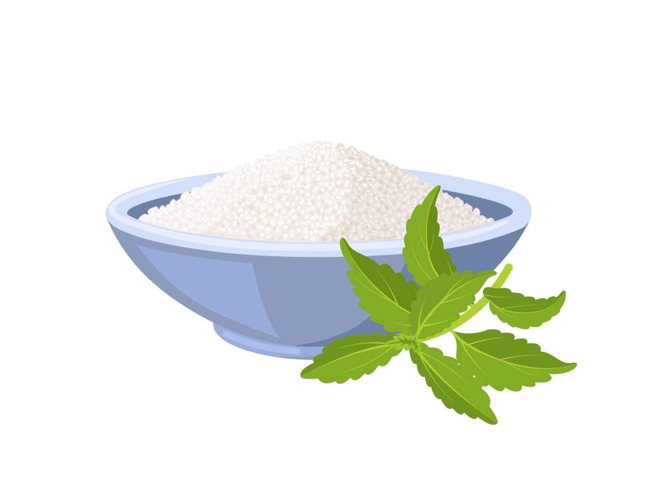 Vector illustration, stevia or sweet leaf, also called sugar leaf, isolated on white background.