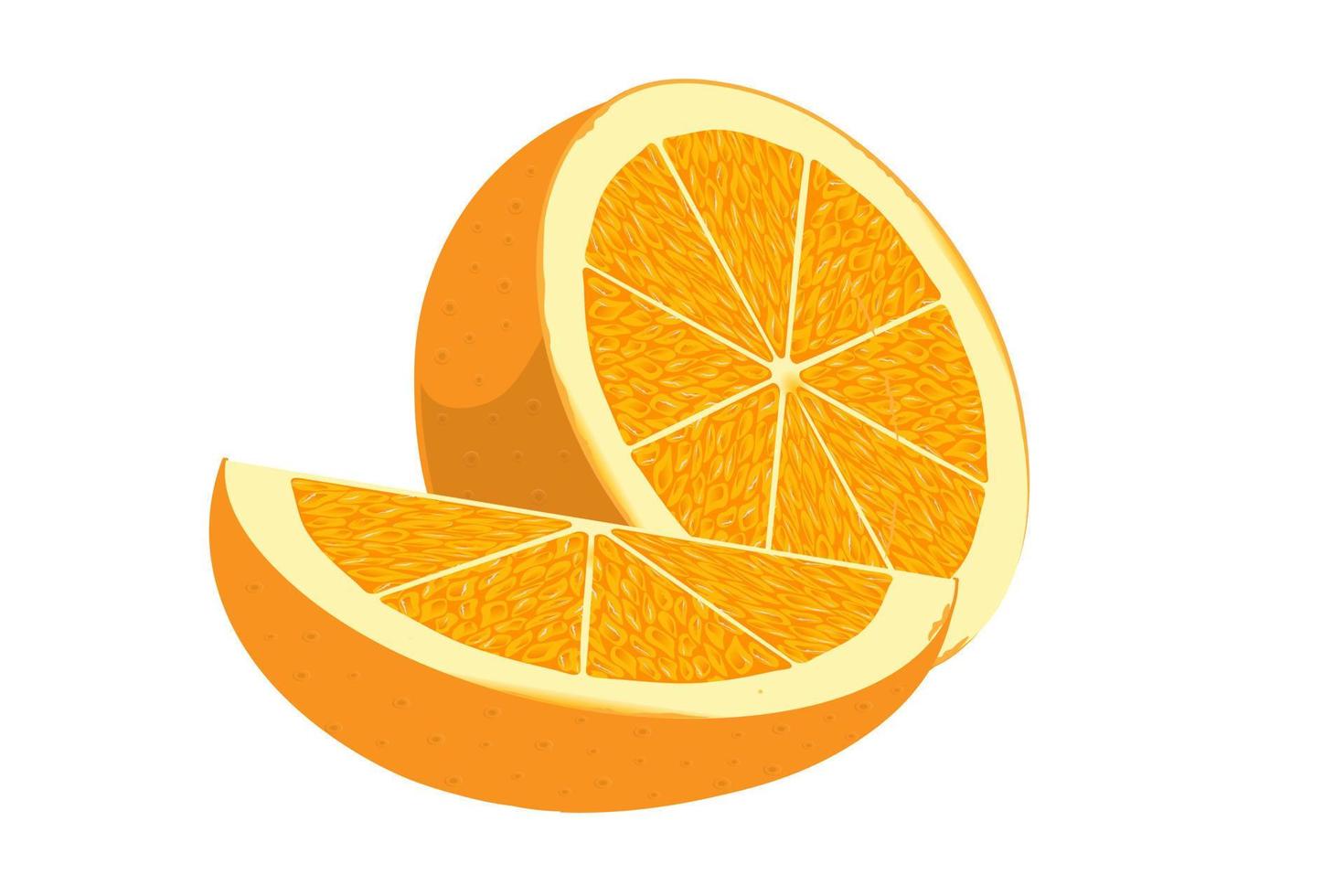 Orange slice isolated on white background vector