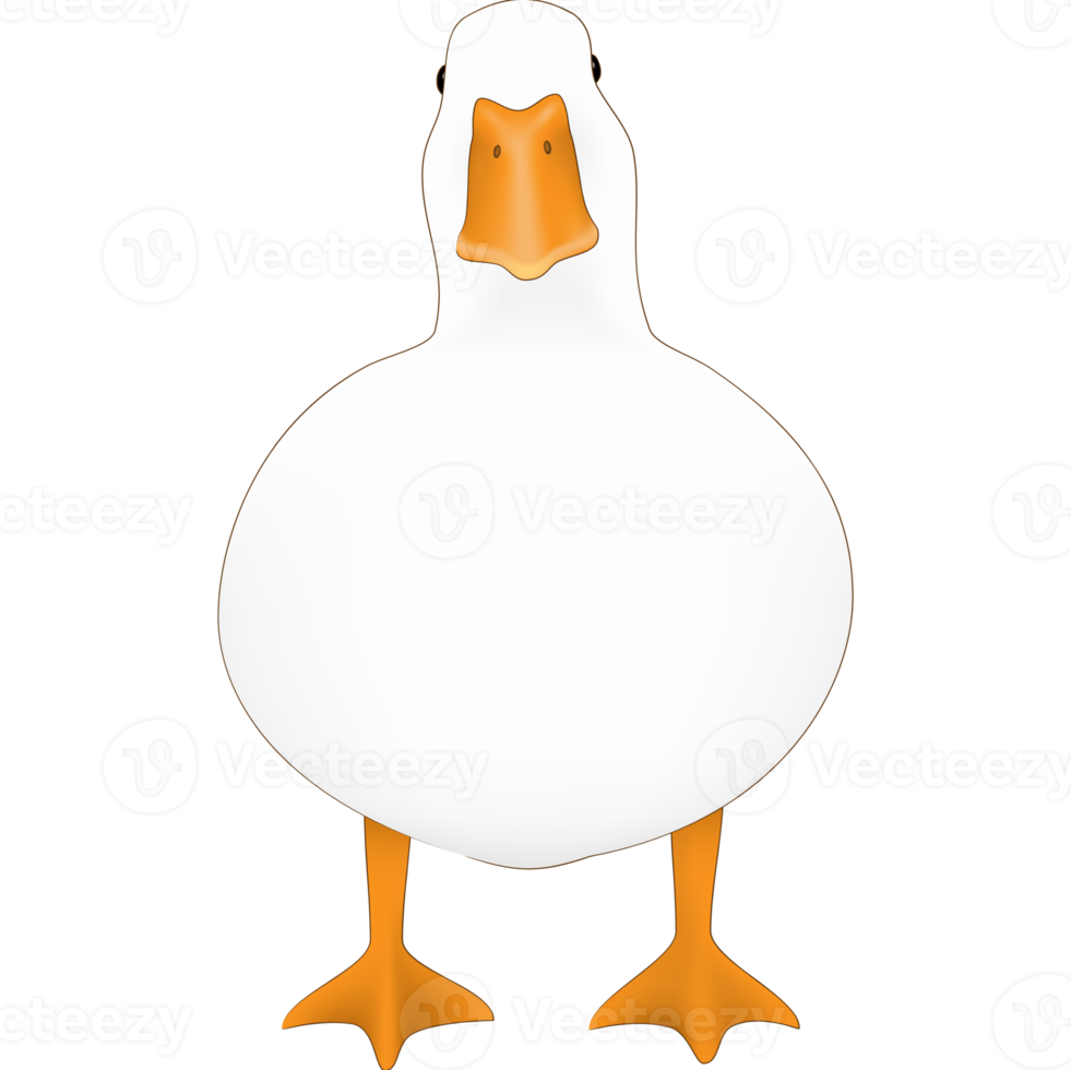 Cute white duck pet animal png