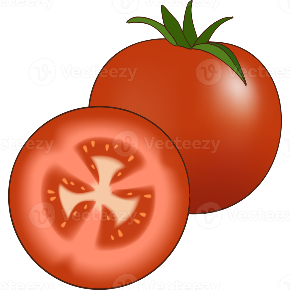 tomate fruit tranche png