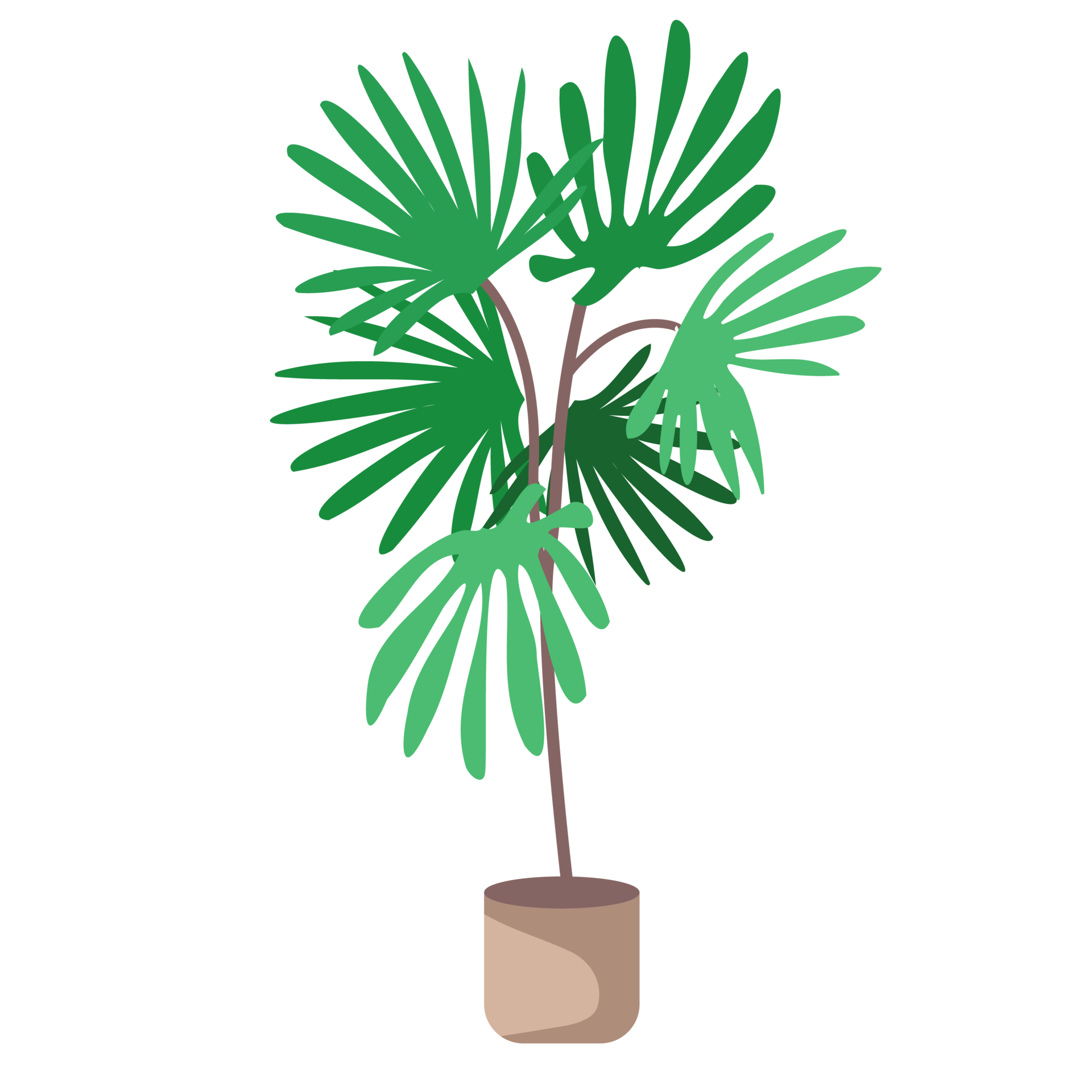 Illustration of a Potted Palm Tree in a Modern Planter 22206081 PNG