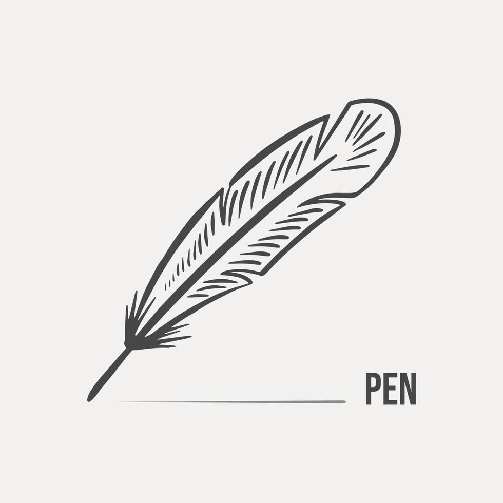 Sketch of a bird feather for writing hand-drawn on a light background. Vector