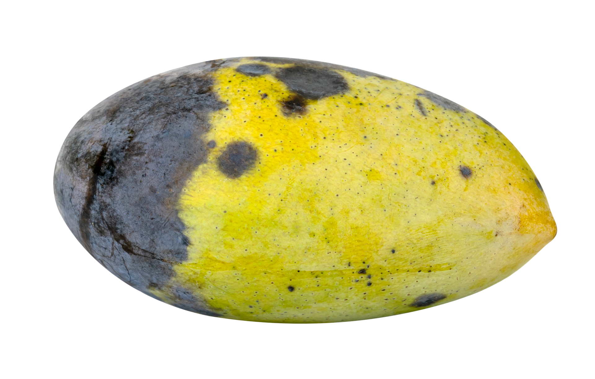 Rotten mango fruit isolated 22207308 PNG