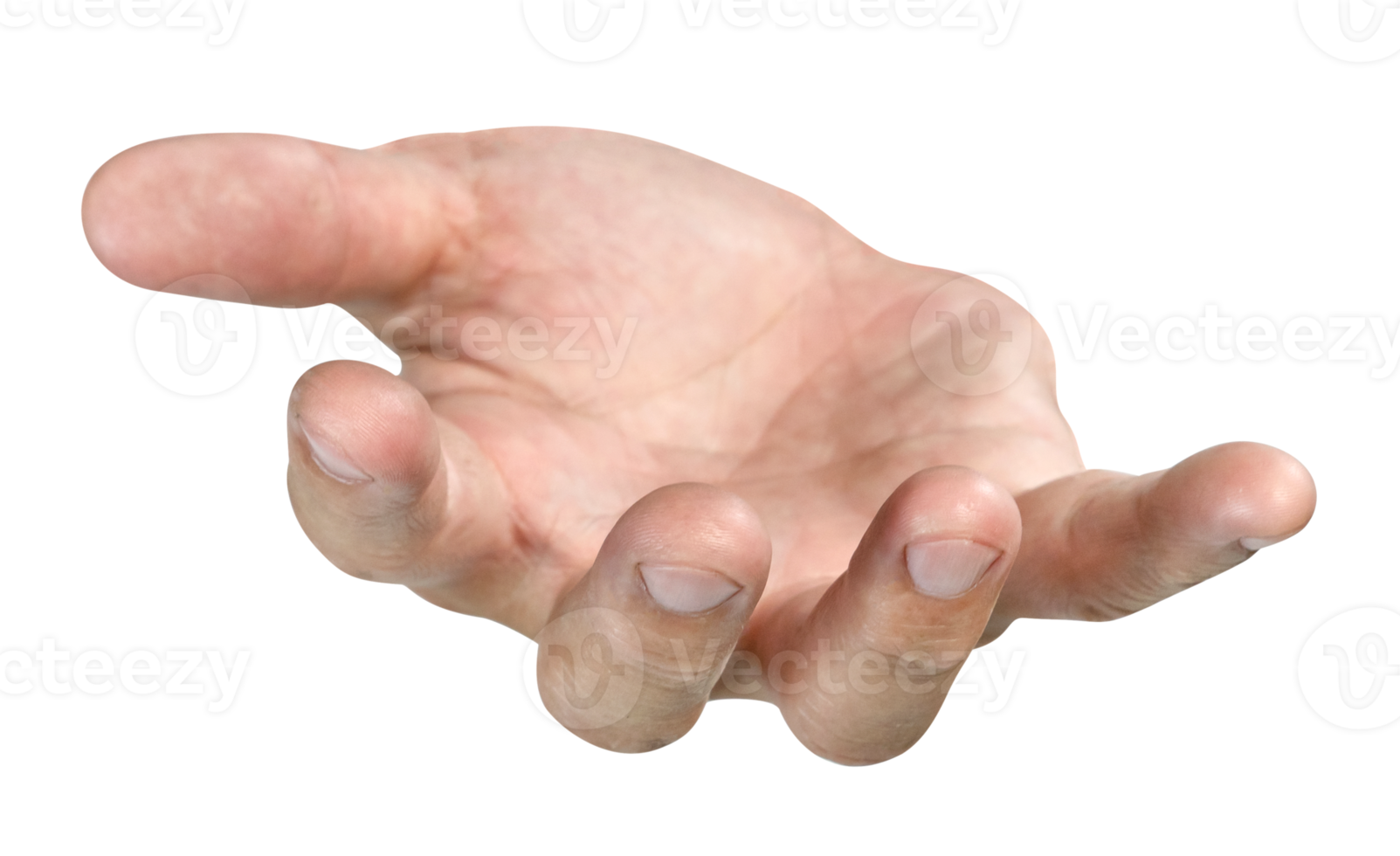 open the palm of the hand isolated png