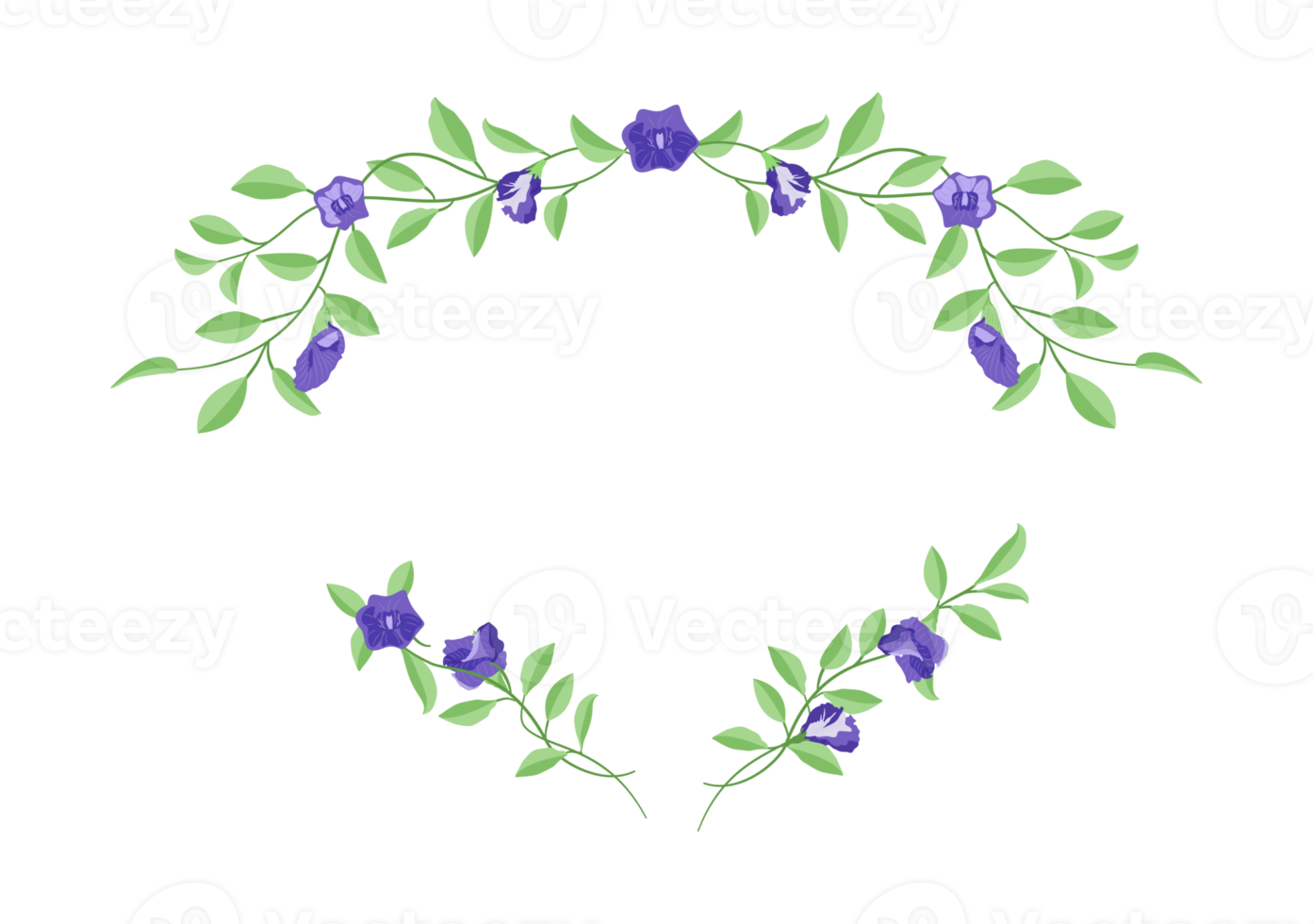 set of Foliage with Butterfly pea floral ornament illustration background png