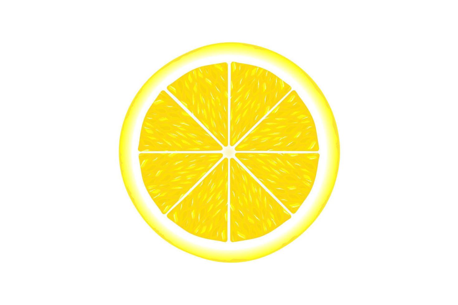 Lemon slice isolated on white background vector
