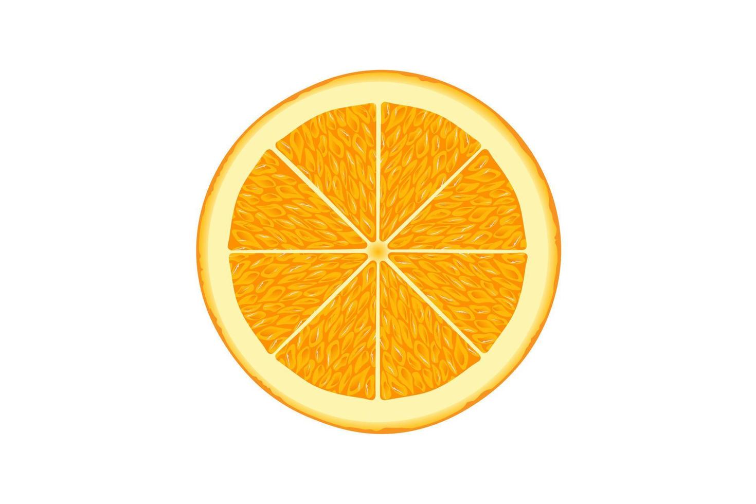 Orange slice isolated on white background vector