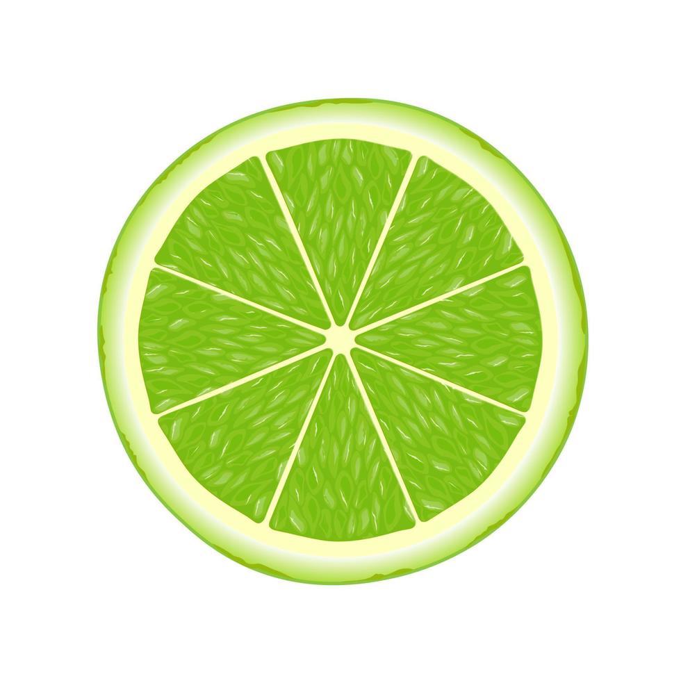 Lime slice illustration for web isolated on white background vector
