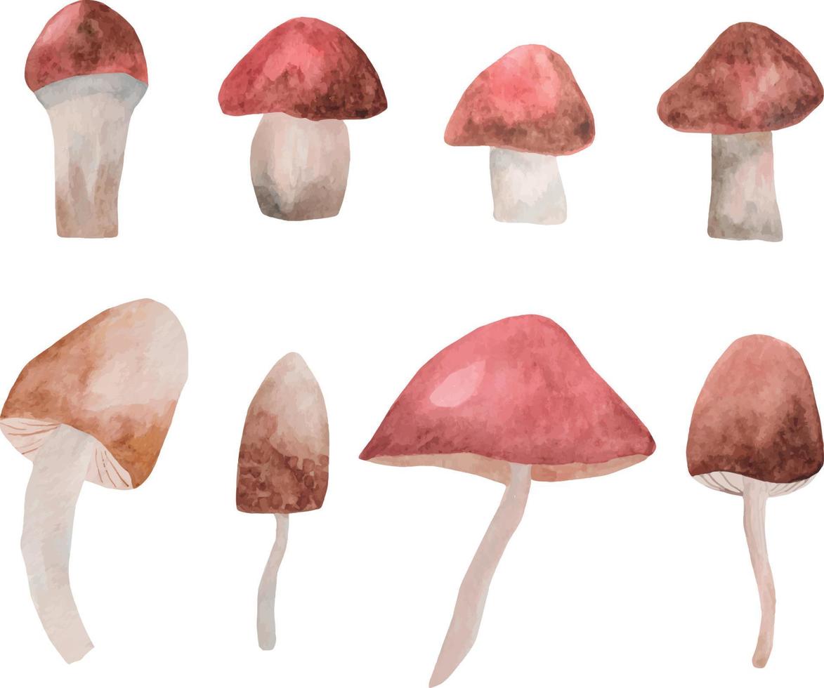 Autumn illustration watercolor mushrooms. Art mushrooms. vector