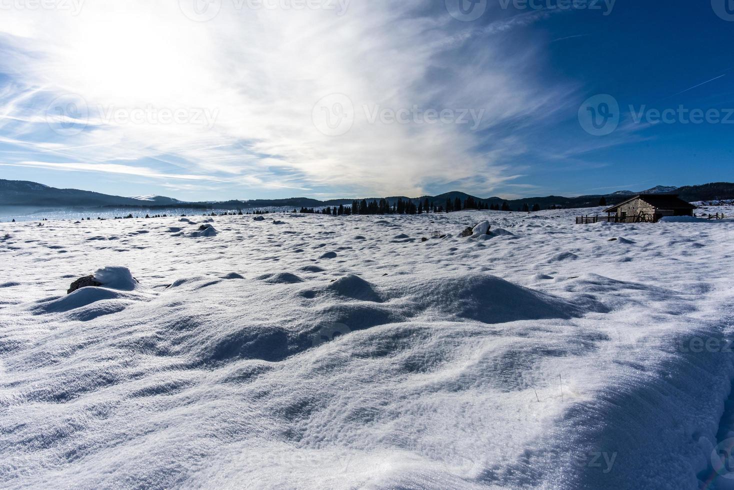 2023 01 07 Marcesina snowy landscapes 4 photo