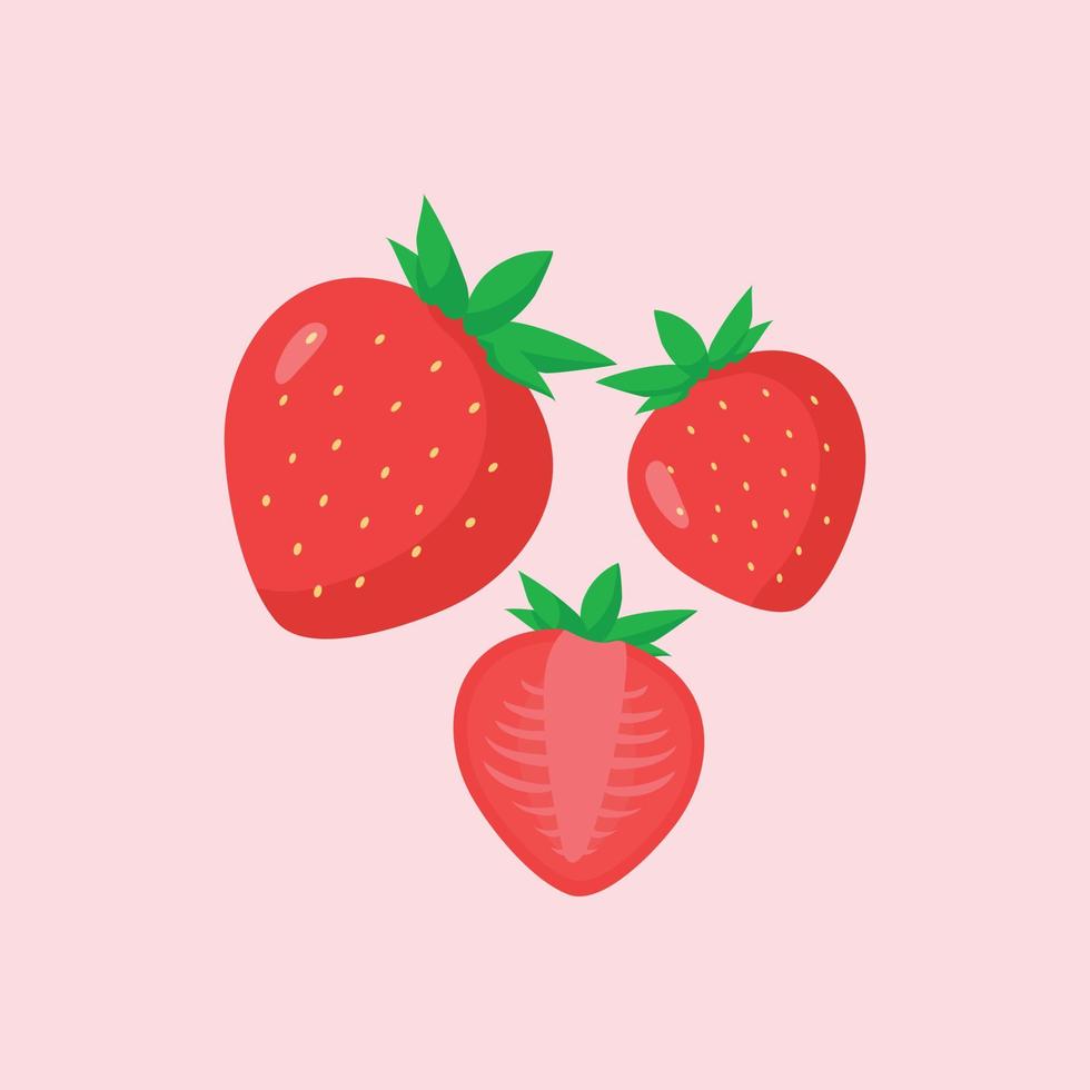 Strawberry Flat Vector Pro Download