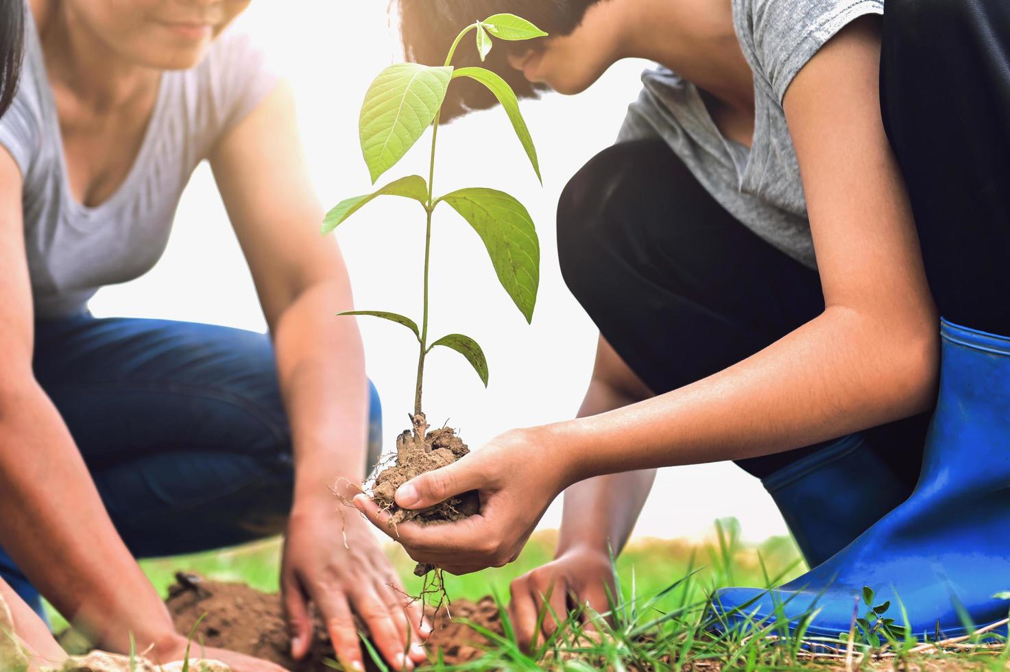 de cerca dos mano Ayudar plantando árbol en naturaleza para salvar tierra foto