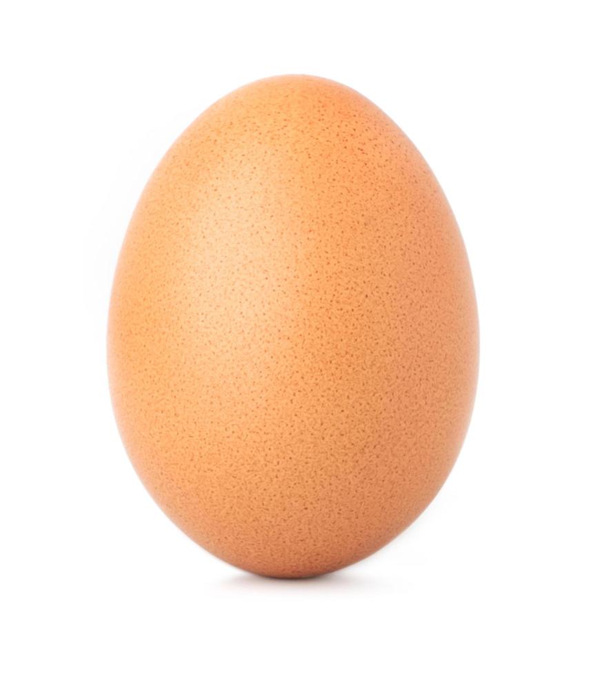 chicken egg isolate on white background photo