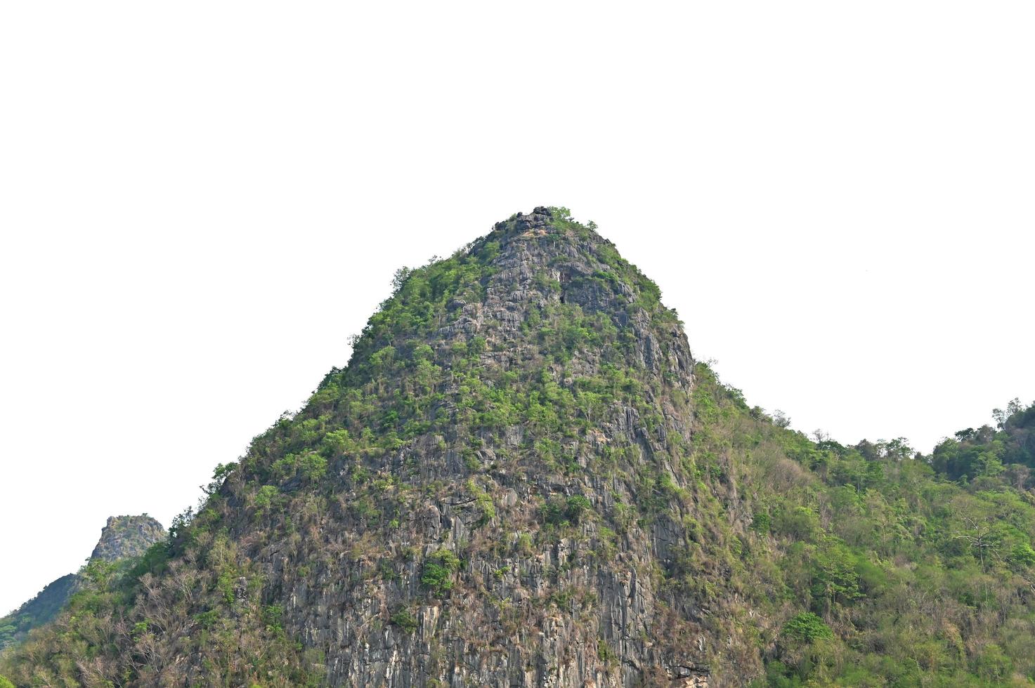 rock mountain with tree isolate on white background photo