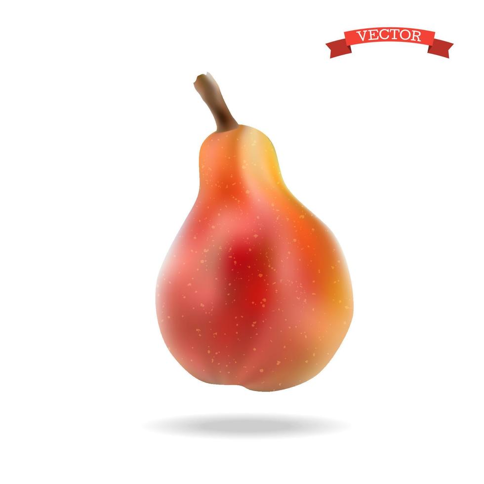 Juicy, sweet, ripe red pear fruit. vector