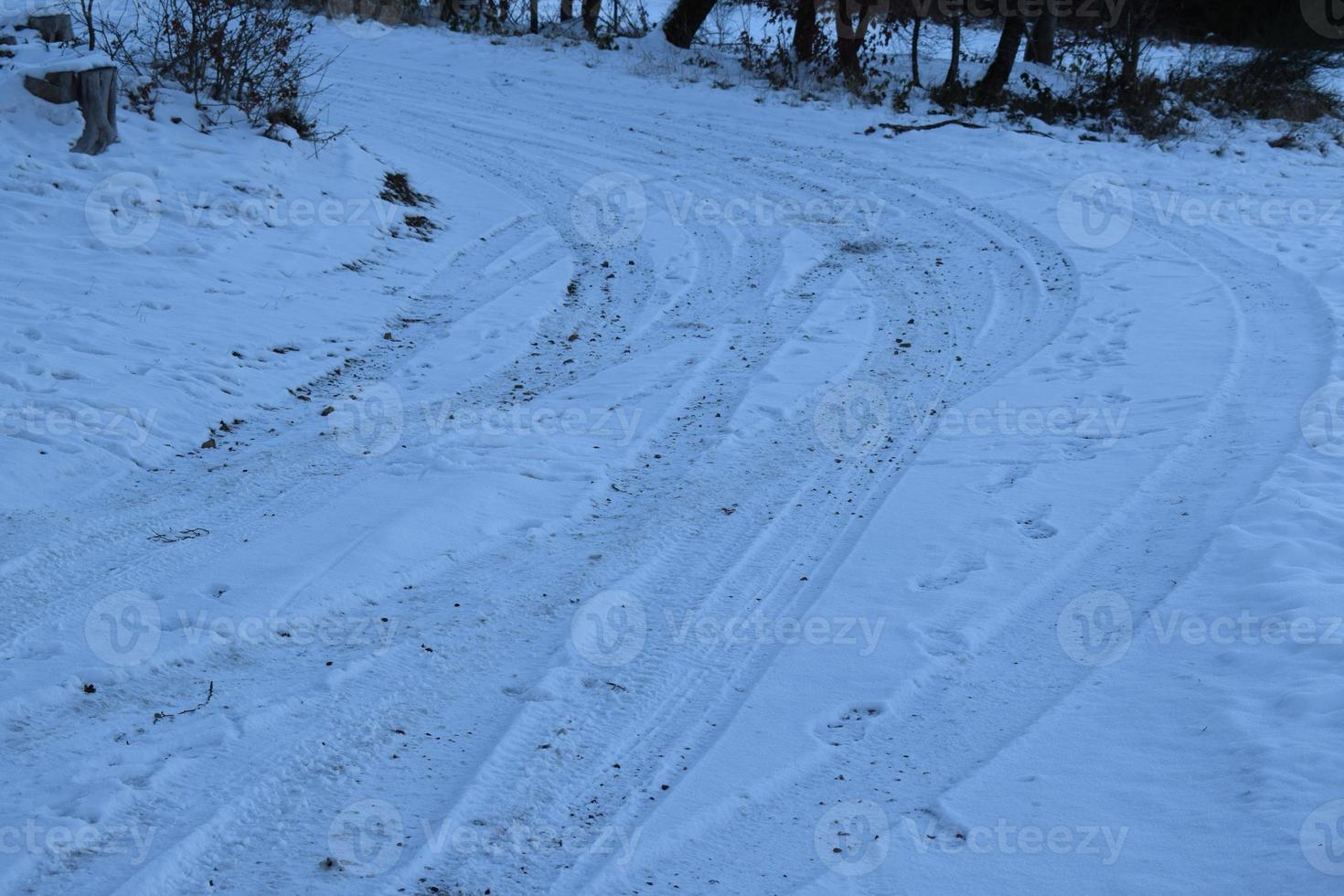 tracks in snow photo