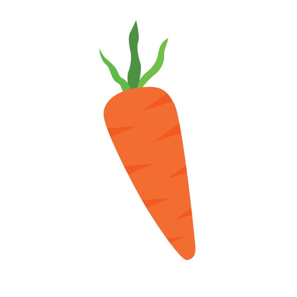 Carrot Fresh Vector Illustration flat design