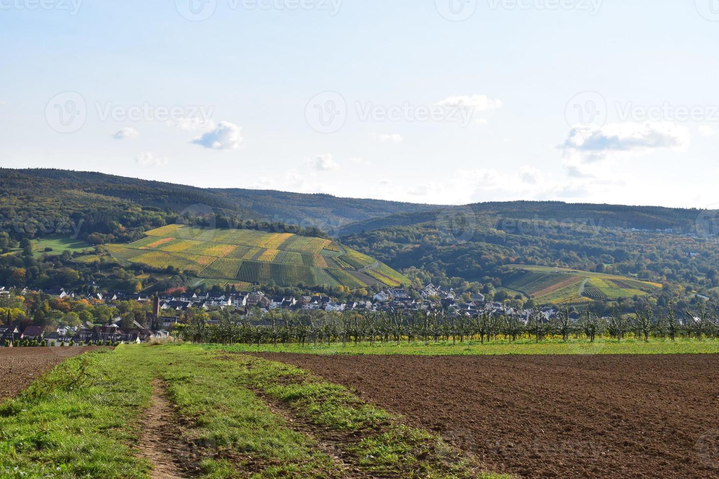 ahr Valle cerca ahrweiler en otoño 2020 foto