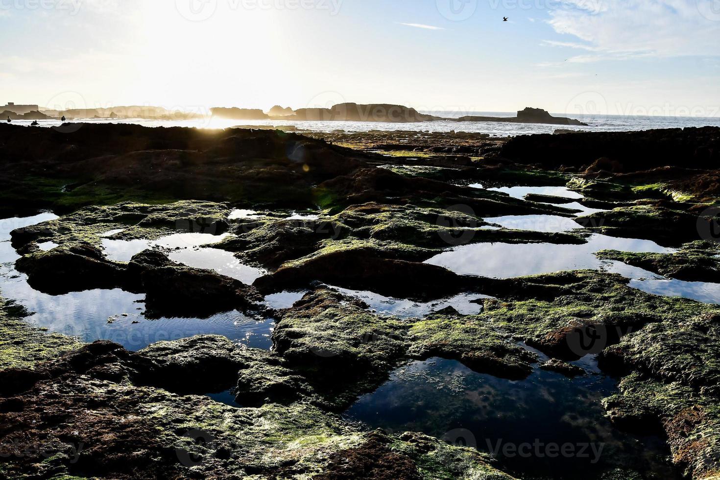 Scenic coastal view photo