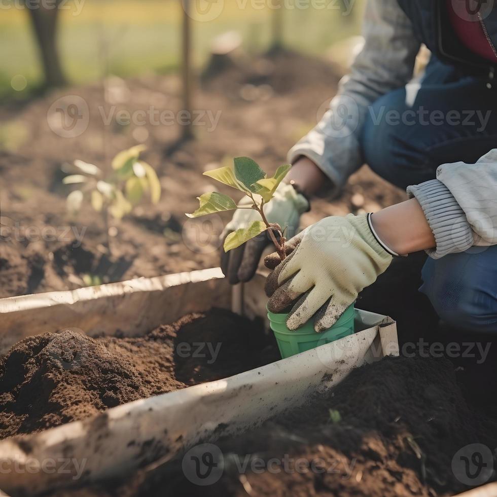 plantando arboles para un sostenible futuro. comunidad jardín y ambiental conservación - promoviendo habitat restauracion y comunidad compromiso en tierra día foto