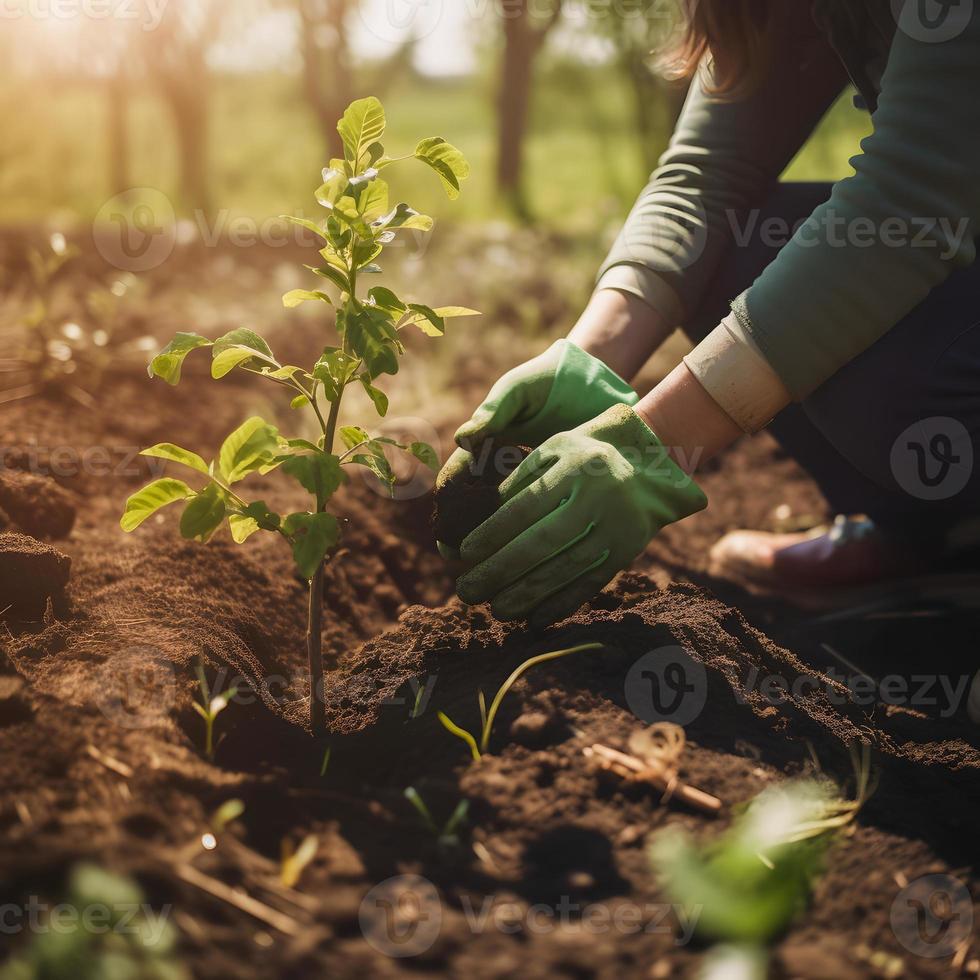 Planting Trees for a Sustainable Future. Community Garden and Environmental Conservation - Promoting Habitat Restoration and Community Engagement on Earth Day photo