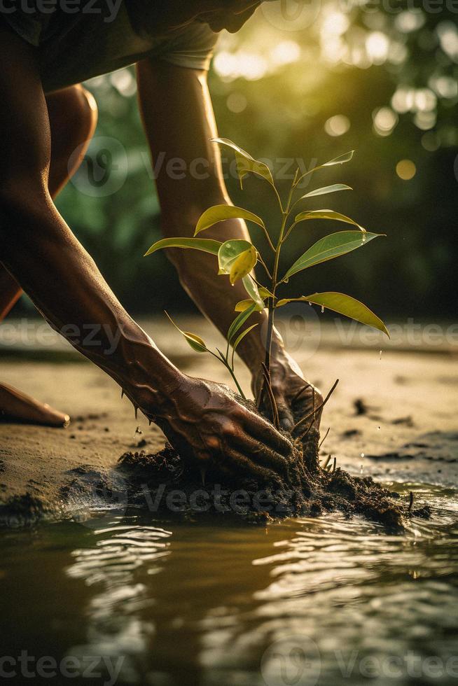 restaurar el línea costera comunidad compromiso en plantando manglares para ambiente conservación y habitat restauracion en tierra día, promoviendo sostenibilidad. tierra día foto