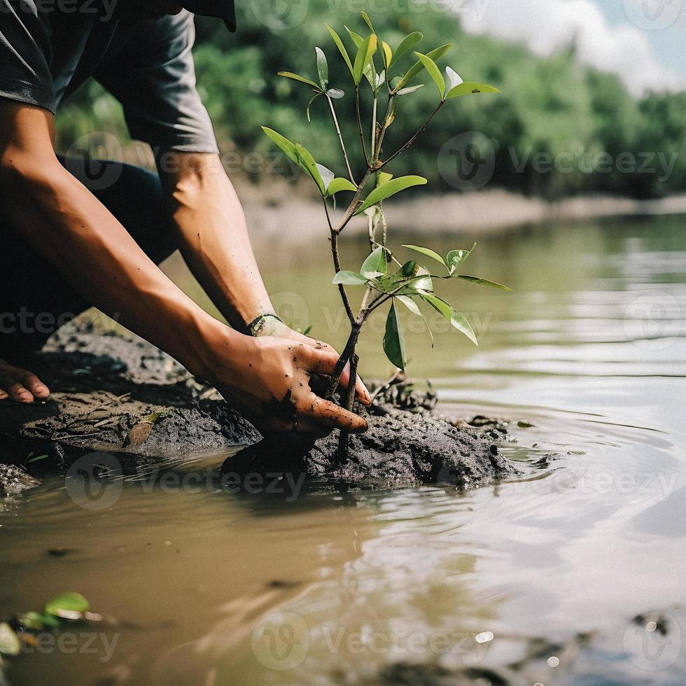 restaurar el línea costera comunidad compromiso en plantando manglares para ambiente conservación y habitat restauracion en tierra día, promoviendo sostenibilidad. tierra día foto