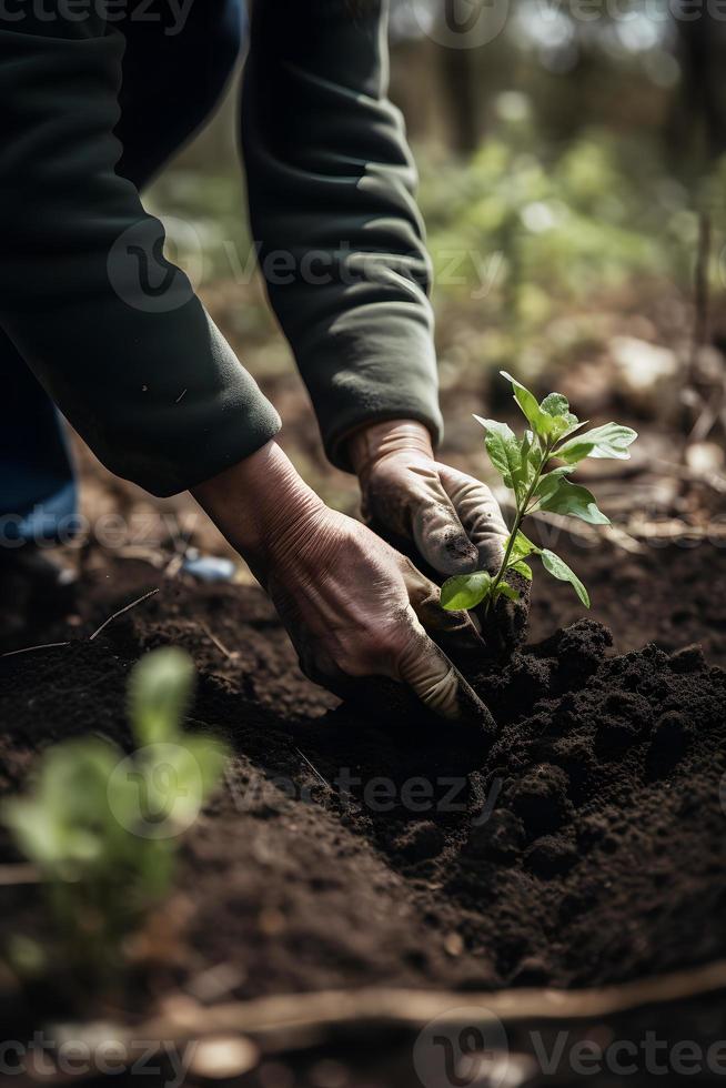 plantando arboles para un sostenible futuro. comunidad jardín y ambiental conservación - promoviendo habitat restauracion y comunidad compromiso en tierra día foto