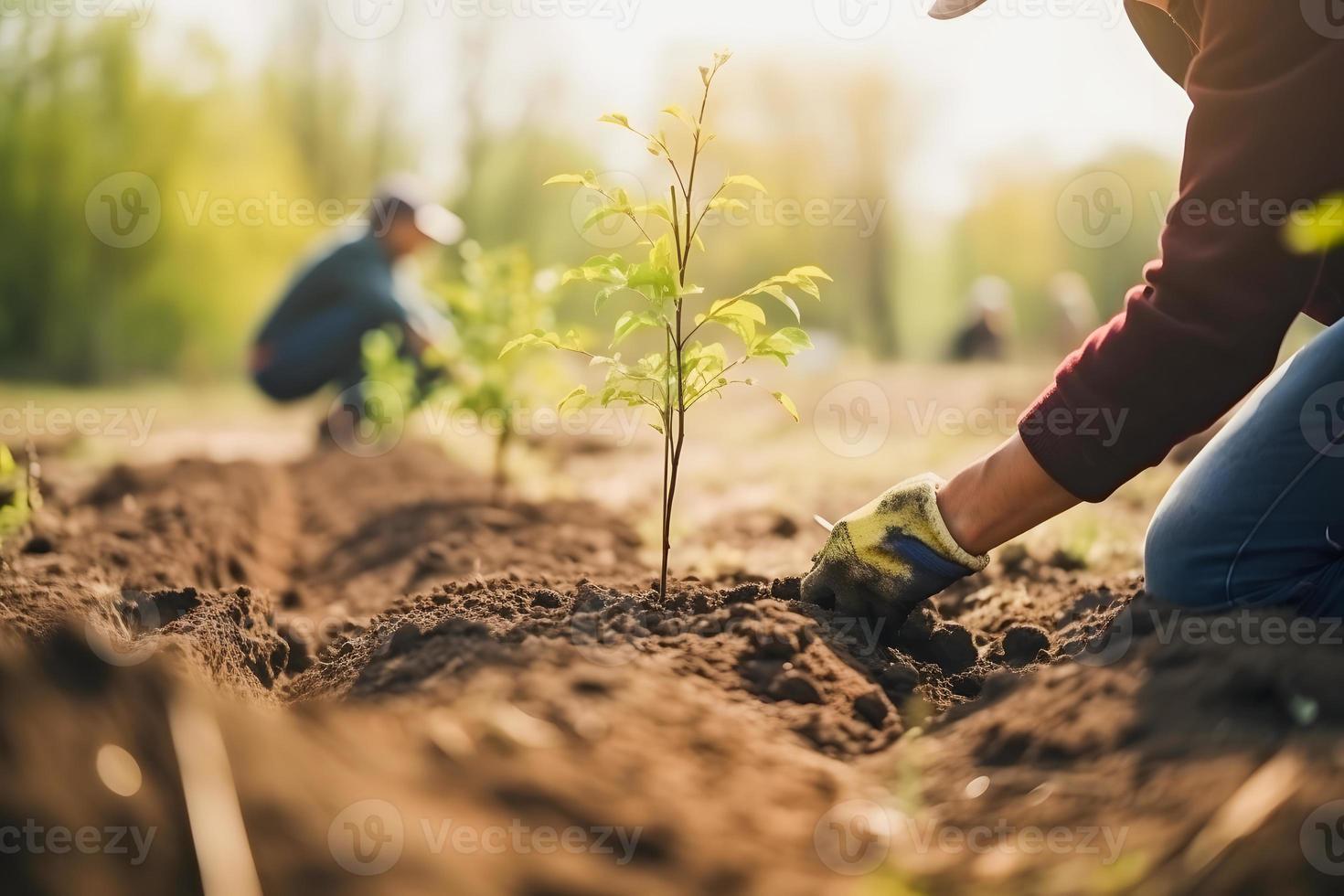 Planting Trees for a Sustainable Future. Community Garden and Environmental Conservation - Promoting Habitat Restoration and Community Engagement on Earth Day photo