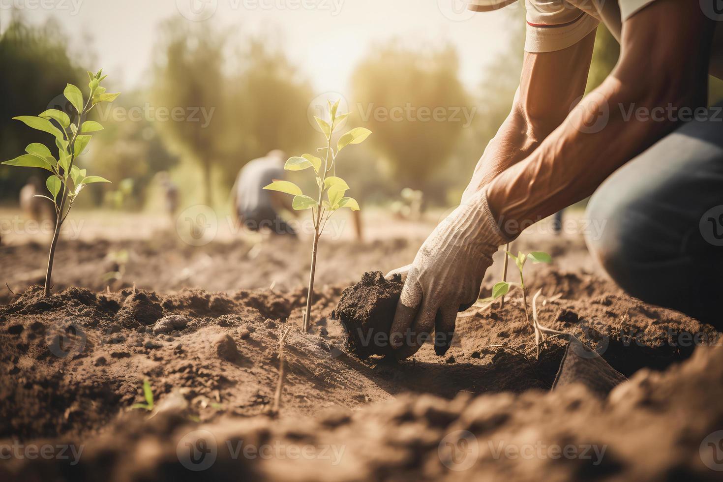 plantando arboles para un sostenible futuro. comunidad jardín y ambiental conservación - promoviendo habitat restauracion y comunidad compromiso en tierra día foto