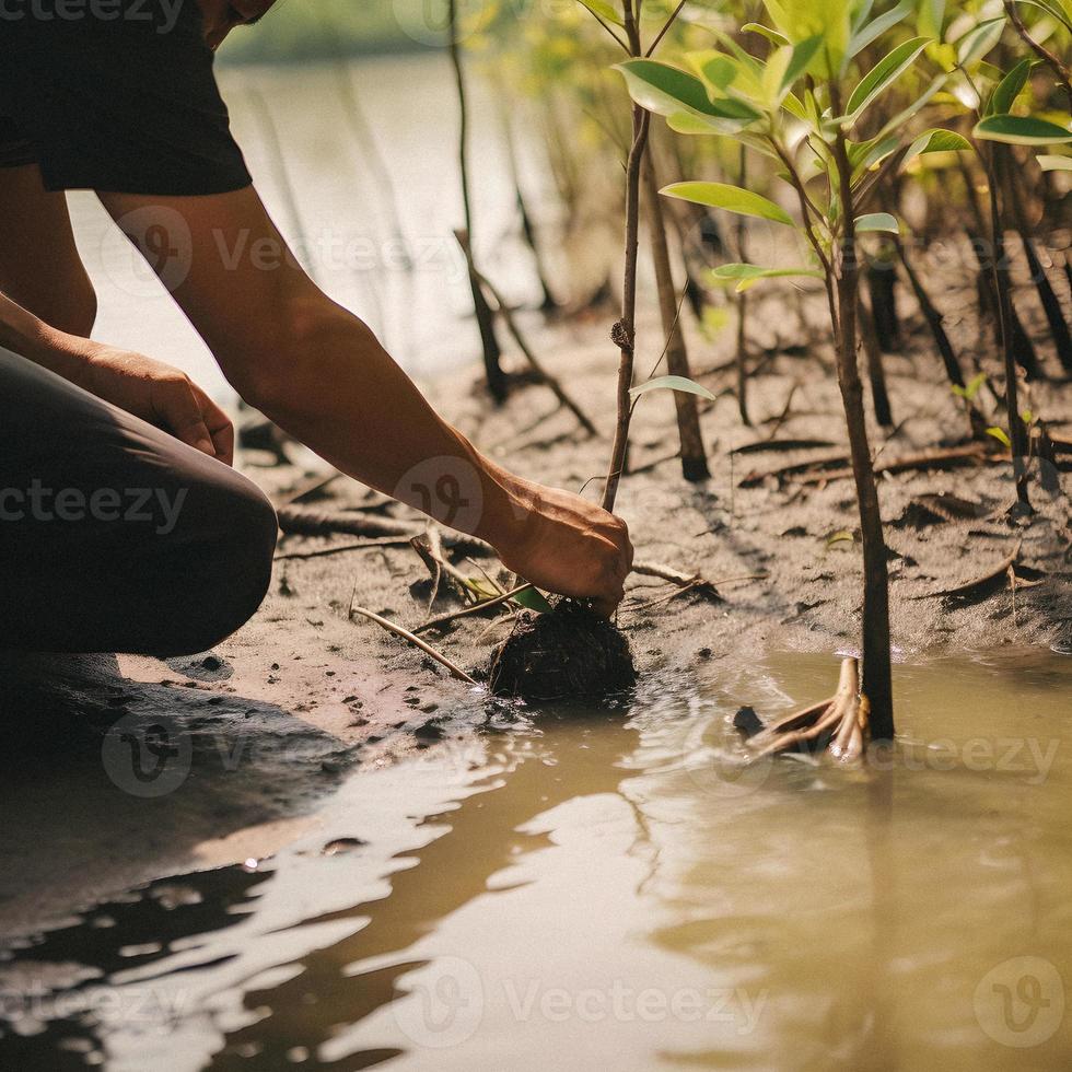 restaurar el línea costera comunidad compromiso en plantando manglares para ambiente conservación y habitat restauracion en tierra día, promoviendo sostenibilidad. tierra día foto