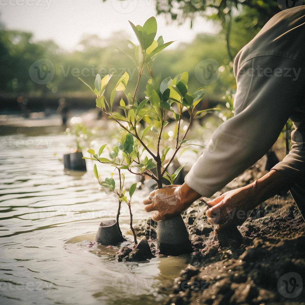 restaurar el línea costera comunidad compromiso en plantando manglares para ambiente conservación y habitat restauracion en tierra día, promoviendo sostenibilidad. tierra día foto