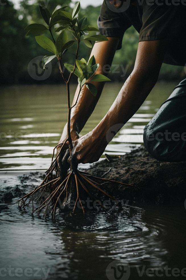 restaurar el línea costera comunidad compromiso en plantando manglares para ambiente conservación y habitat restauracion en tierra día, promoviendo sostenibilidad. tierra día foto