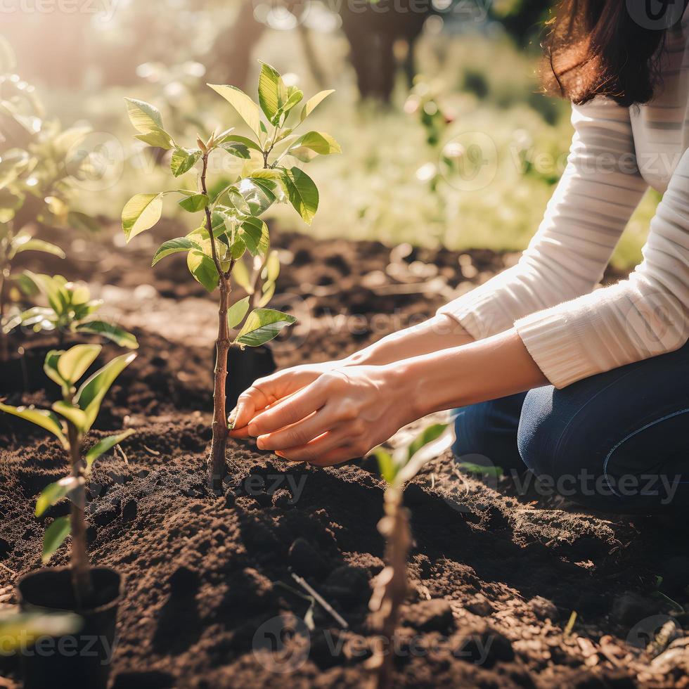 Planting Trees for a Sustainable Future. Community Garden and Environmental Conservation - Promoting Habitat Restoration and Community Engagement on Earth Day photo
