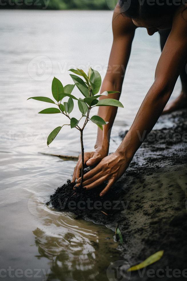 restaurar el línea costera comunidad compromiso en plantando manglares para ambiente conservación y habitat restauracion en tierra día, promoviendo sostenibilidad. tierra día foto