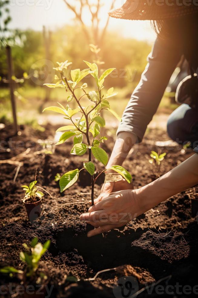 plantando arboles para un sostenible futuro. comunidad jardín y ambiental conservación - promoviendo habitat restauracion y comunidad compromiso en tierra día foto