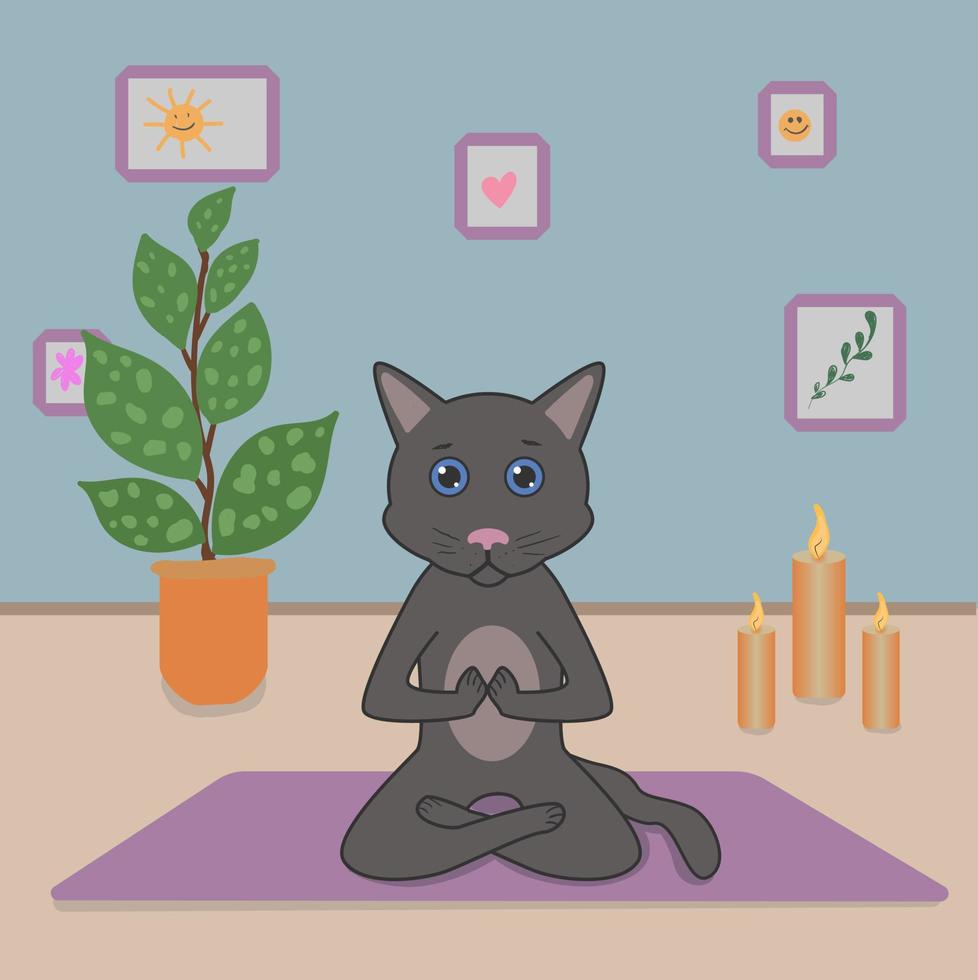 Cute gray cat doing yoga in the lotus position, assana, in a cozy room with flowers, candles and paintings vector