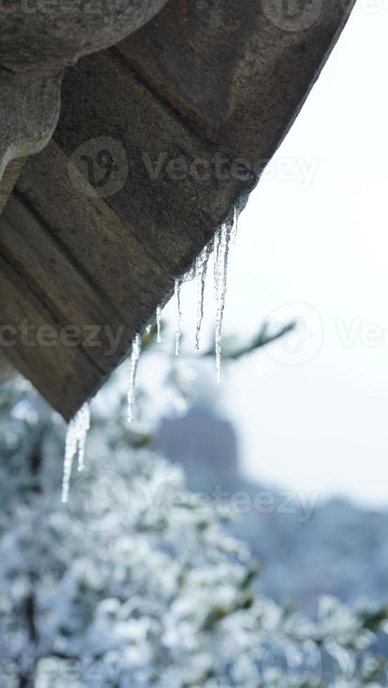 The frozen dropped ice columns hanging from the eaves in winter photo