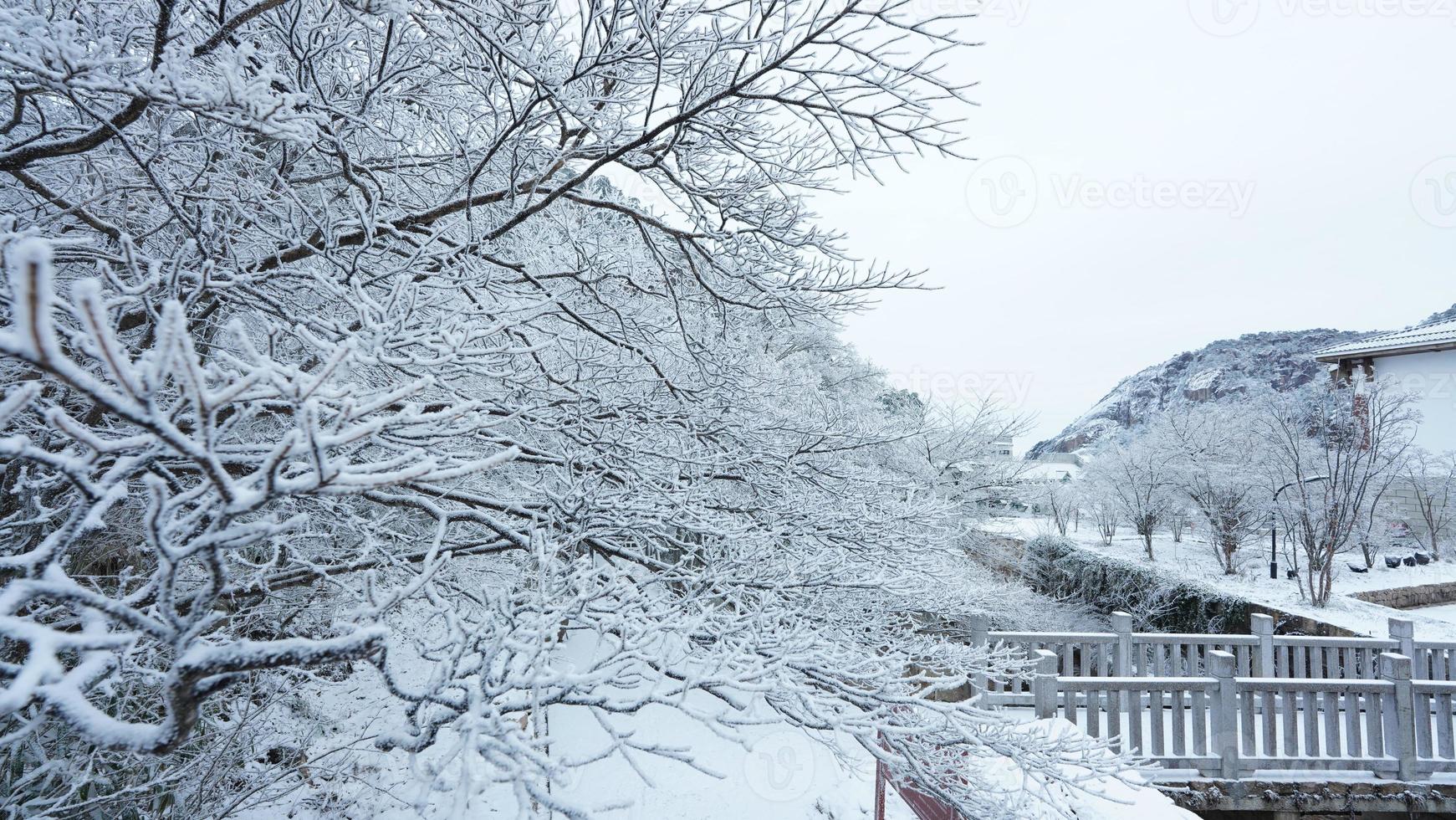 The beautiful frozen mountains view coverd by the white snow and ice in winter photo