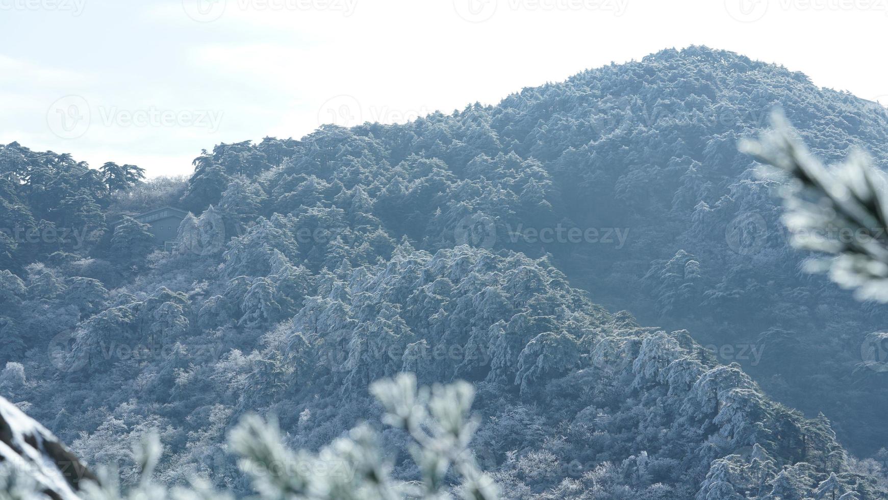 The beautiful frozen mountains view coverd by the white snow and ice in winter photo