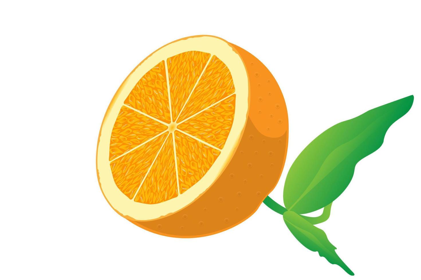 rodaja de naranja aislado sobre fondo blanco vector