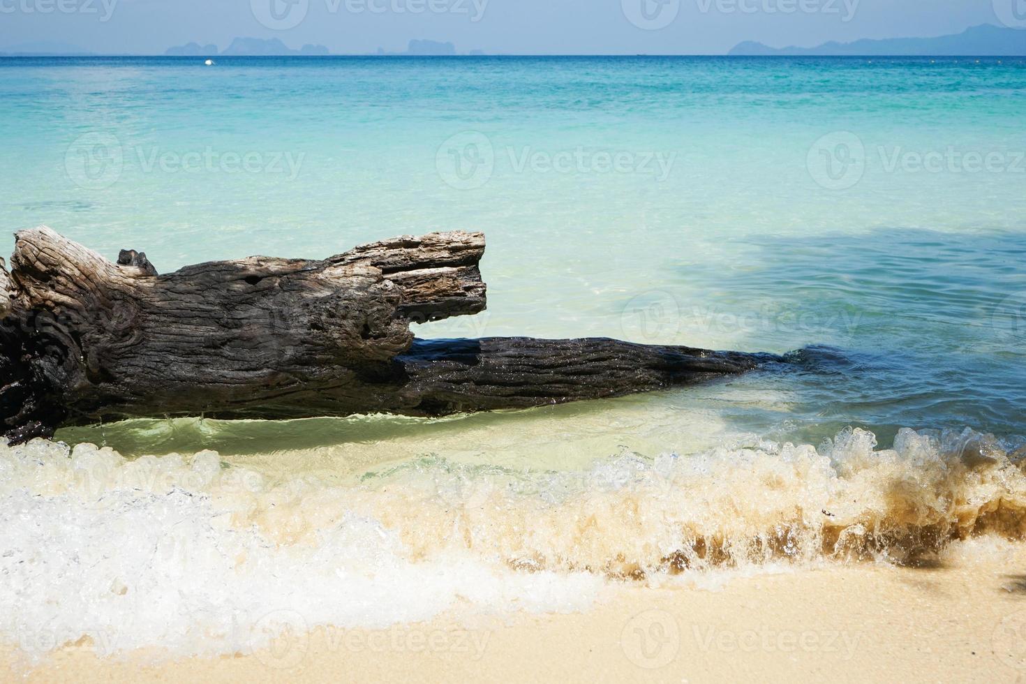 Closeup dead wood on the beach with the sea wave surfing on the coast and skyline of blue sky in background photo