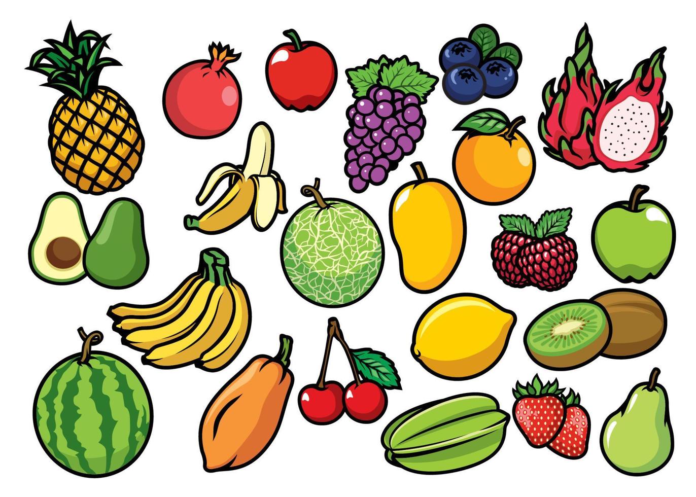 fruits set collection vector