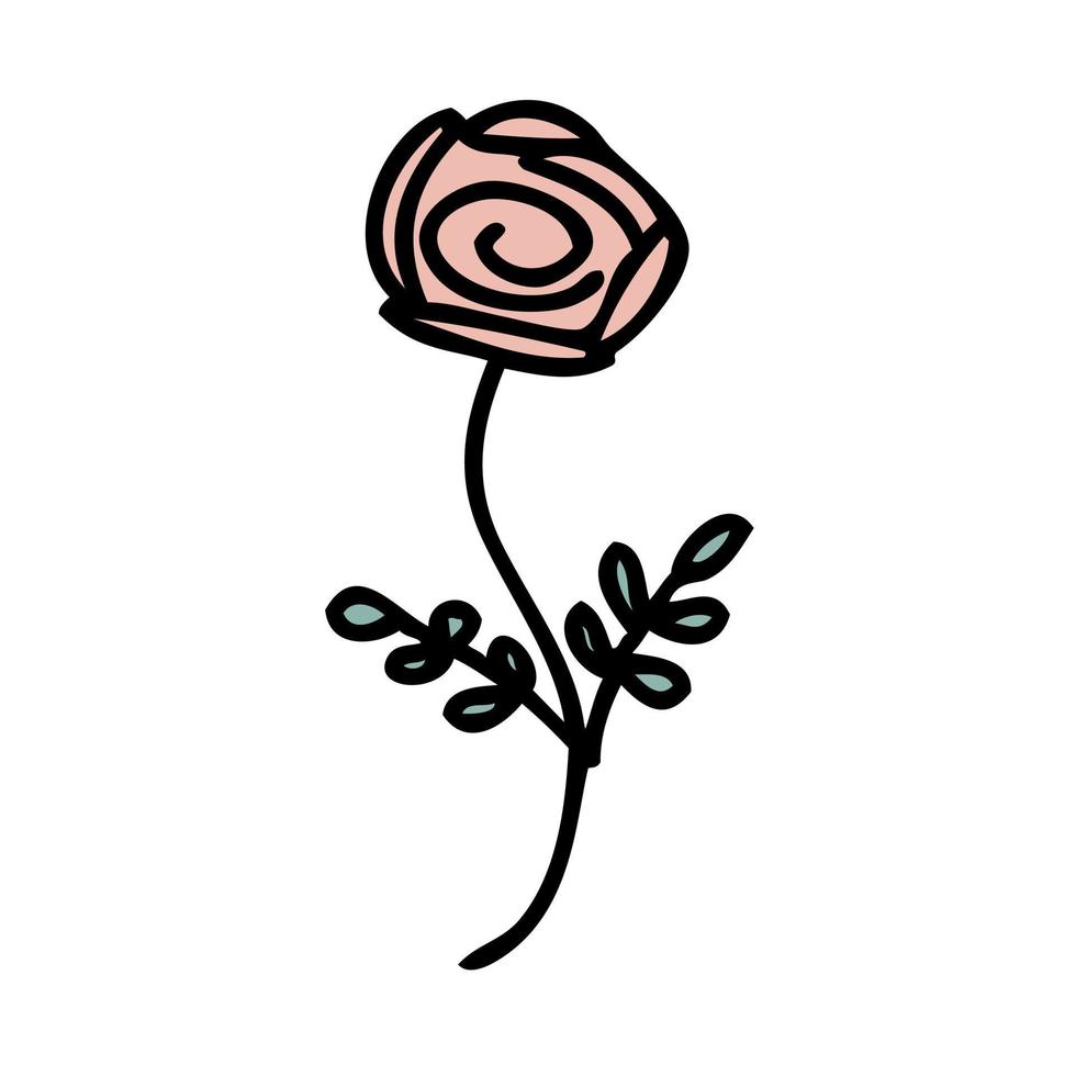 Hand drawn rose flower in simple doodle style. vector