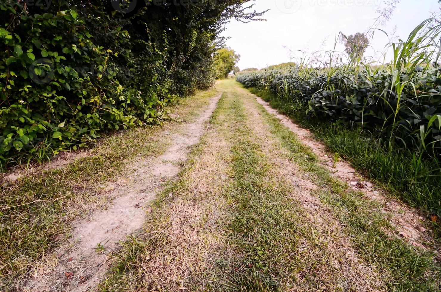 Scenic rural landscape photo