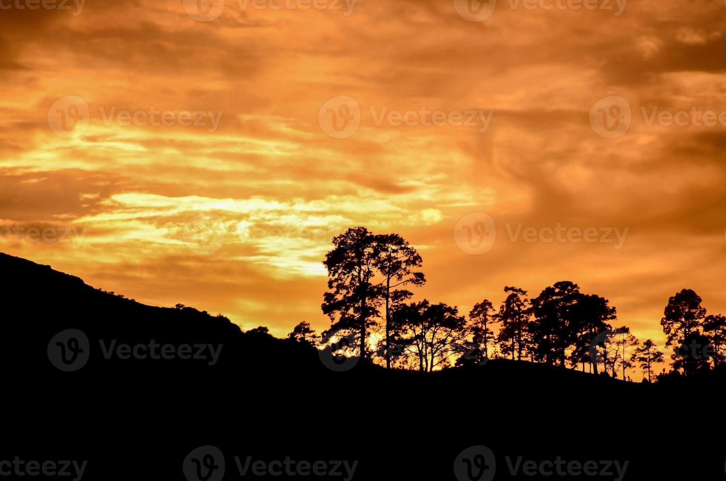 Scenic rural landscape photo