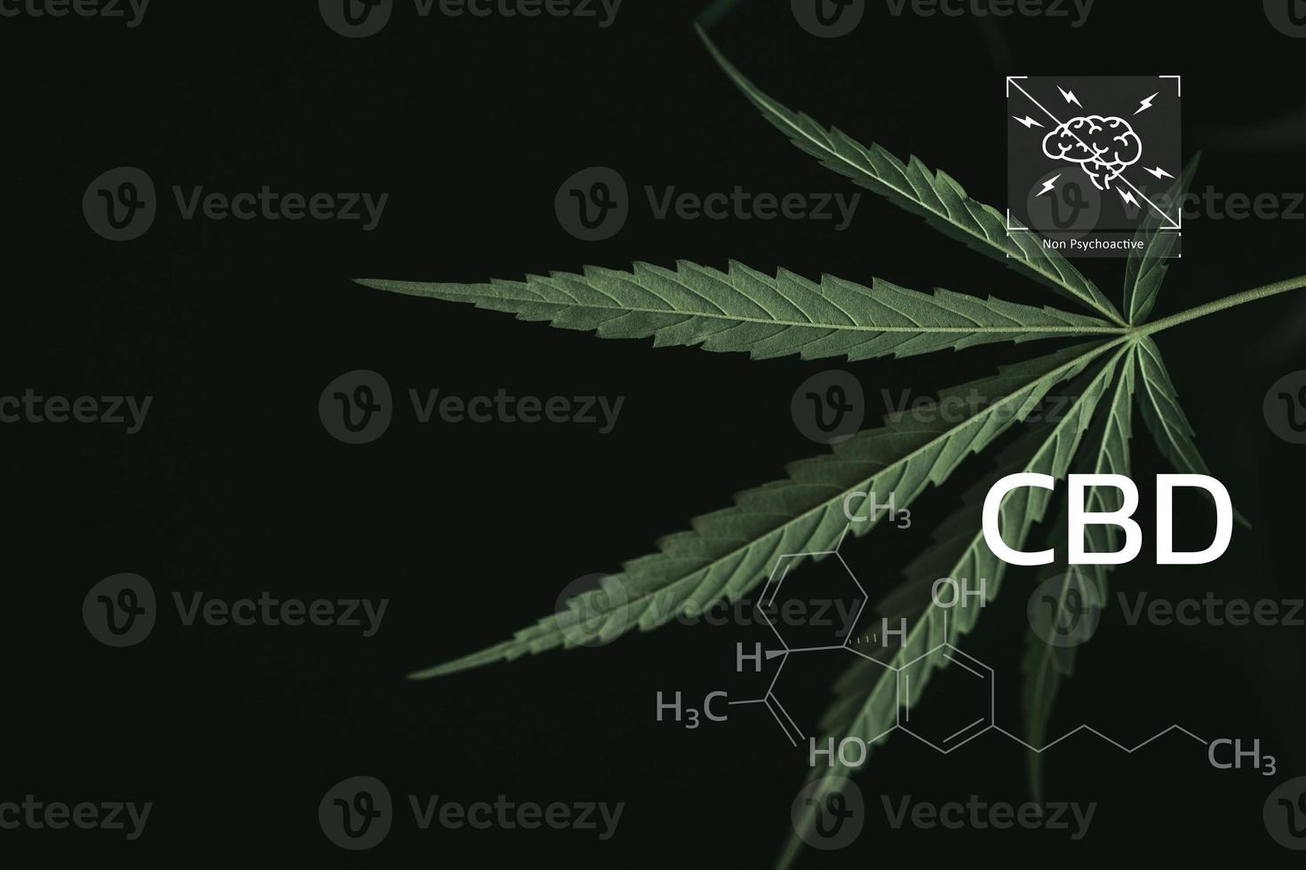 CBD Chemical Formula, Beautiful background of green cannabis flowers A place for copy space, dispensary business. cannabinoids and health, Hemp industry, green leaf pattern background. photo