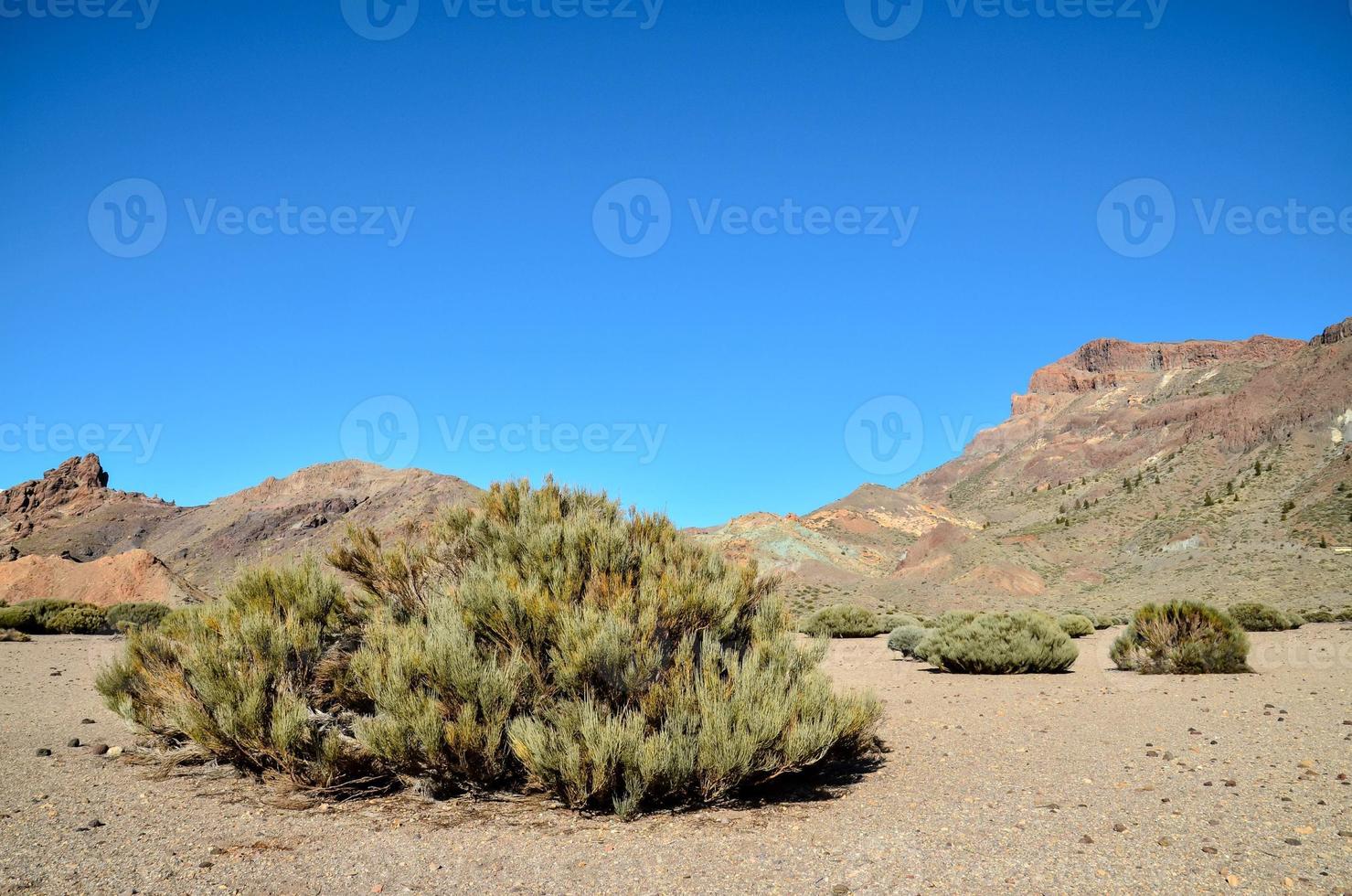 Scenic rural landscape photo