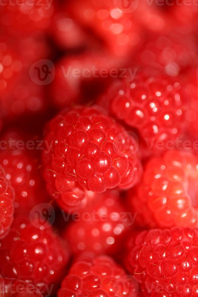 Fresh red cultivated ripe raspberries and currant berries, healthy food texture background angle view macro rubus phoenicolasius family rosaceae big size high quality botanical prints photo